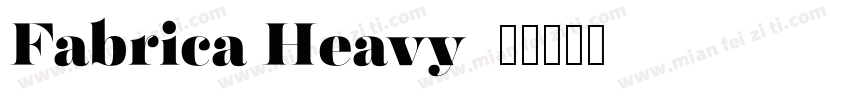 Fabrica Heavy字体转换